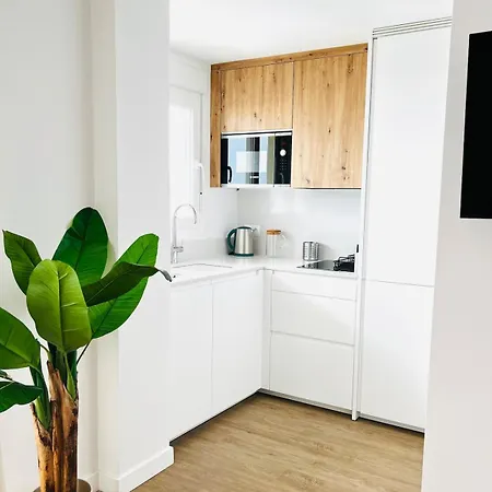 Apartment New Carihuela Park Luxury Close To Sinesedesignhomes Torremolinos